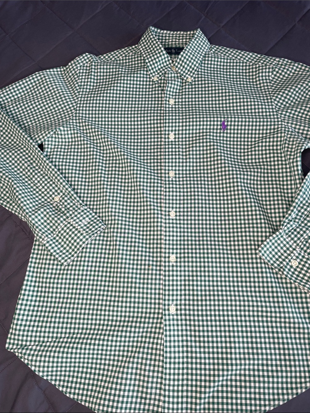 Polo by Ralph Lauren Green Gingham Button-Down Shirt with Purple Pony